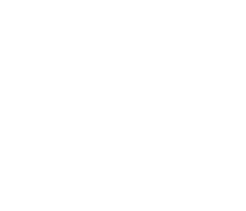 Thirdwave Logo White Setca